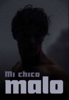 Mi chico malo